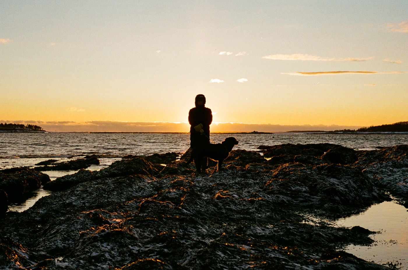 A quiet Maine coastline seen in silhouette