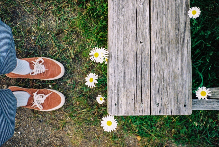 Shoes and daisies on a wooden bench